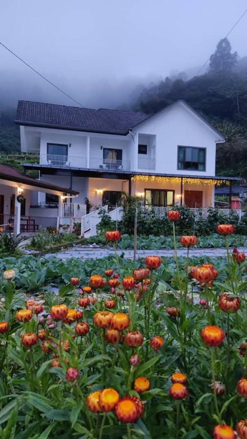 Ng Family'S Farm Stay Cameron Highlands Exterior foto